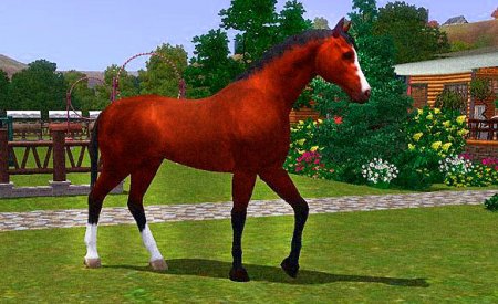 Лошади – прекрасные питомцы в Симс 3